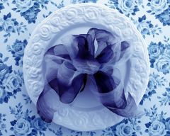 Tapeta Nature Flowers 614.jpg